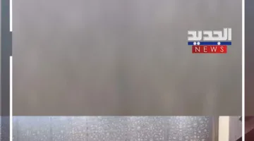 مفتي الجمهورية اللبنانية يتحدث من سوريا! (فيديو)