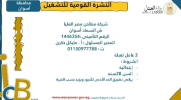وزارة العمل تعلن عن فرص عمل جديدة في محافظة أسوان.. اكتشف التفاصيل