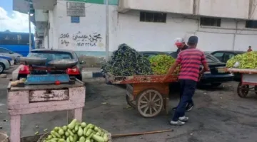 حملة شاملة لإزالة الإشغالات والتعديات على الطرق في ضواحي بورسعيد
