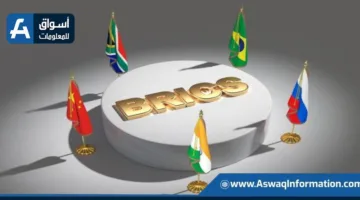 وزير المالية الروسي: دول البريكس تواصل سعيها لتعزيز أنظمة المدفوعات الدولية