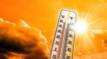 الأرصاد: غداً أجواء شديدة الحرارة ورطبة نهاراً ومعتدلة ليلاً، والعظمى في القاهرة 36 درجة.
