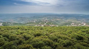 لا تفريط جزئي أو شامل في سلاح حزب الله.. الجديد يكشف!