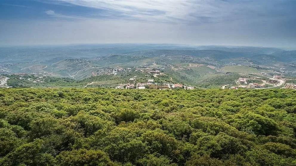 لا تفريط جزئي أو شامل في سلاح حزب الله.. الجديد يكشف! لا تفريط جزئي أو شامل في سلاح حزب الله.. الجديد يكشف!