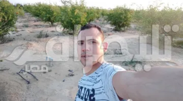“ضحايا الفواكه” .. قصص الألم على الطريق الإقليمي في المنوفية