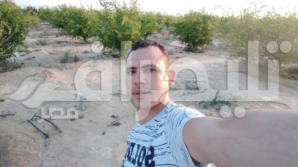 “ضحايا الفواكه” .. قصص الألم على الطريق الإقليمي في المنوفية “ضحايا الفواكه” .. قصص الألم على الطريق الإقليمي في المنوفية