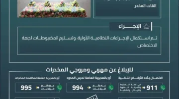 حرس الحدود في جازان ينجح في إحباط تهريب 400 كيلوغرام من نبتة القات المخدرة