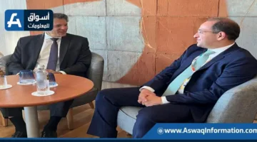 وزير المالية: نركز على تعزيز التعاون الاقتصادي والاستثماري مع دول “بريكس”