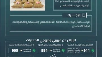 إلقاء القبض على سبعة مهربين كانوا يحاولون تهريب 161 كجم من القات في الربوعة