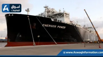 وزارة البترول تستعرض استراتيجية الحكومة لتحسين البنية التحتية لقطاع الغاز في مصر