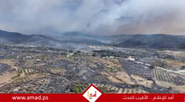 سوريا: مغادرة السكان وإخلاء المنازل مع استمرار جهود إطفاء الحرائق في اللاذقية