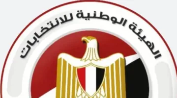 “الهيئة الوطنية للانتخابات”: 201 مرشح يتقدمون بطلباتهم لانتخابات “الشيوخ” في أول يوم لاستقبال الطلبات