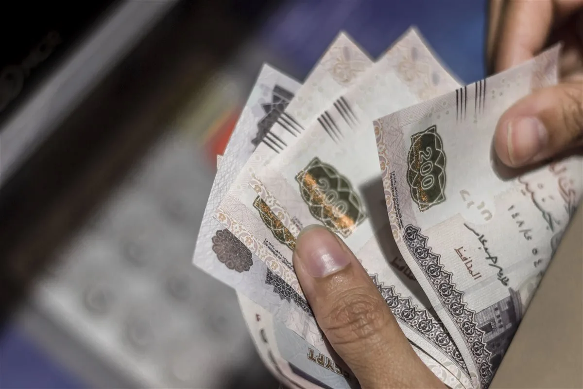حساب توفير للمعاش من البنك الأهلي بعائد شهري 12.5% حساب توفير للمعاش من البنك الأهلي بعائد شهري 12.5%