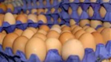 أسعار البيض والحليب والسمن ترتفع مجددًا.. ما هي توقعات التضخم في المواد الغذائية؟