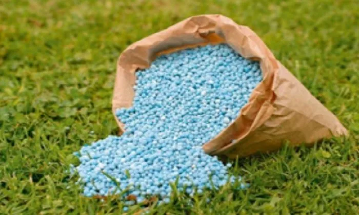 قبل طرحها في الأسواق: ضبط 5 أطنان من محسنات زراعية غير معروف مصدرها في قبضة الرقابة التموينية بالبحيرة قبل طرحها في الأسواق: ضبط 5 أطنان من محسنات زراعية غير معروف مصدرها في قبضة الرقابة التموينية بالبحيرة