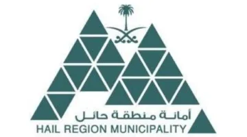 مبادرات لدعم المطورين