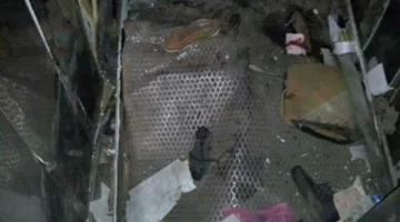 طفل يفقد حياته مع كلبه أثناء محاولته إنقاذ أعز أصدقائه في بئر مصعد بالجيزة