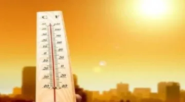 توقعات الطقس اليوم: حرارة مرتفعة، ضباب ورطوبة، ودرجة الحرارة العظمى في القاهرة تبلغ 36 درجة.