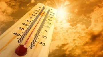 أجواء مرتفعة الحرارة: مستجدات حالة الطقس في مصر يوم الأحد 6 يوليو 2025
