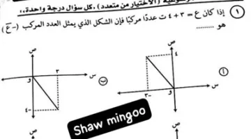 نشر أسئلة وإجابات اختبار الرياضيات المتقدم للثانوية العامة عبر التليجرام بعد بدء اللجان