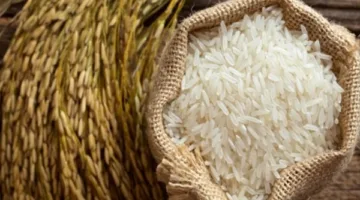 سعر طن الأرز الشعير في الأسواق المحلية اليوم، الأحد 6 يوليو 2025