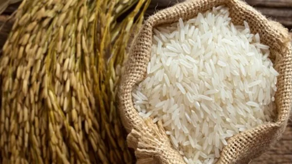سعر طن الأرز الشعير في الأسواق المحلية اليوم، الأحد 6 يوليو 2025