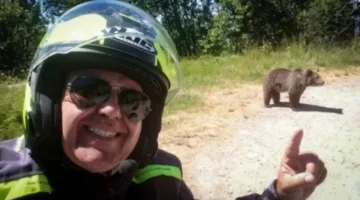 اللحظة الأخيرة قبل الوفاة: دب يهاجم سائحاً أثناء محاولة التقاط صورة سيلفي