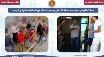 حملات رقابية لمكافحة تشغيل الأطفال في الوادي الجديد