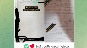«شاومينج» يوزع صورًا محتملة لامتحان الرياضيات.. و«التعليم» تبدأ التحقيق