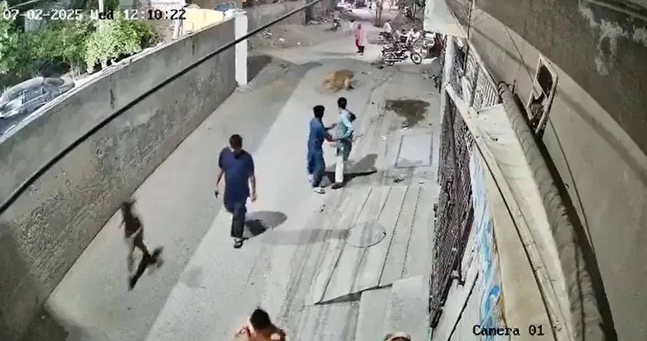 بالفيديو | قطة كبيرة تلاحق امرأة وصغيرين في حي سكني في باكستان بالفيديو | قطة كبيرة تلاحق امرأة وصغيرين في حي سكني في باكستان