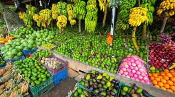 أسعار الفواكه والخضروات في أسواق الوادي الجديد اليوم الأحد
