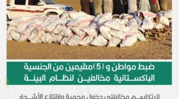 إلقاء القبض على مواطن وخمسة مقيمين بسبب انتهاكهم لوائح البيئة بقطع أشجار في محمية الملك سلمان