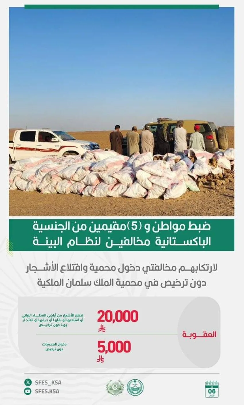 إلقاء القبض على مواطن وخمسة مقيمين بسبب انتهاكهم لوائح البيئة بقطع أشجار في محمية الملك سلمان إلقاء القبض على مواطن وخمسة مقيمين بسبب انتهاكهم لوائح البيئة بقطع أشجار في محمية الملك سلمان