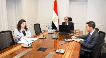 وزير الخارجية يشارك في اجتماع عبر الإنترنت مع الجالية المصرية في واشنطن ونيويورك