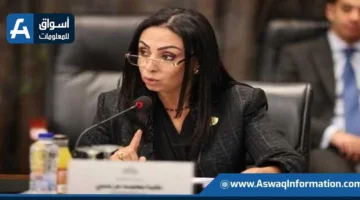 التضامن صرف 38 مليون جنيه غداً لأسر ضحايا حادث الإقليمي بفضل تبرع من رجل أعمال.