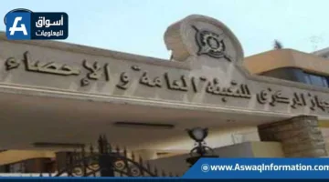 جهاز الإحصاء: ارتفاع نصيب الفرد من الناتج المحلي الإجمالي إلى 130.5 ألف جنيه