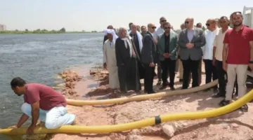 إطلاق 250 ألف إصبعية في إطار مشروع تربية الأسماك ببني سويف