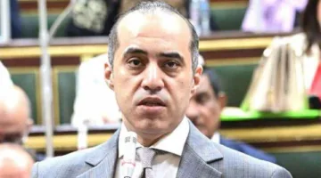المستشار محمود فوزي: نظام البكالوريا يعد جزءًا من خطة وطنية شاملة.