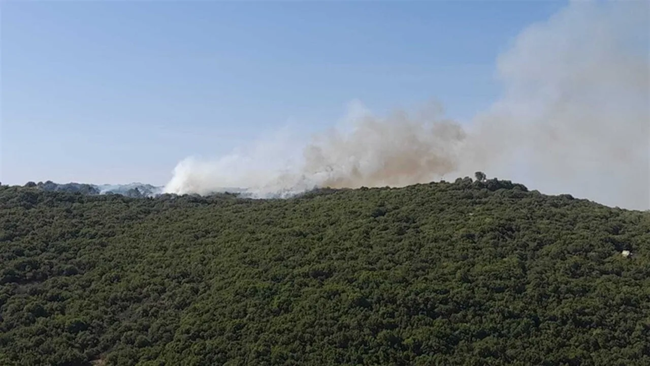 الجيش الإسرائيلي يعلن عن استهداف مواقع في لبنان الجيش الإسرائيلي يعلن عن استهداف مواقع في لبنان