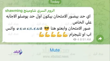نائب: مجموعات الغش تشكل خطرًا على سلامة التعليم وامتحانات الثانوية العامة بحاجة إلى حماية معلوماتية