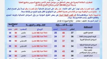 استمرار درجات الحرارة المرتفعة.. الأرصاد تنبه بشأن أحوال الطقس ليوم الإثنين 7 يوليو 2025