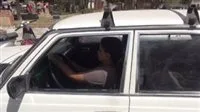 الداخلية تعتقل طفلاً يقود سيارة في أكتوبر