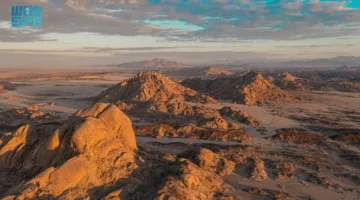 البحر الأحمر الدولية تصدر تقريرًا شاملاً حول التنوع البيولوجي البري لحماية واستدامة كنوز المملكة الطبيعية
