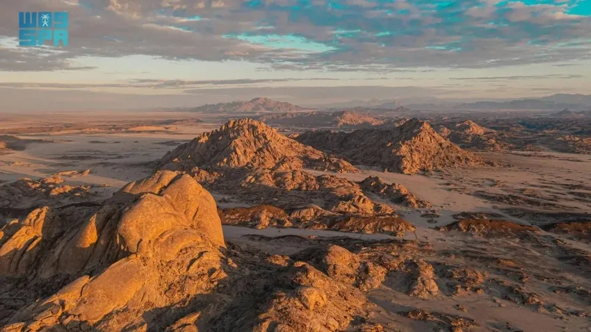 البحر الأحمر الدولية تصدر تقريرًا شاملاً حول التنوع البيولوجي البري لحماية واستدامة كنوز المملكة الطبيعية البحر الأحمر الدولية تصدر تقريرًا شاملاً حول التنوع البيولوجي البري لحماية واستدامة كنوز المملكة الطبيعية