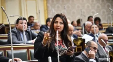 مجلس النواب يوافق على التعديلات المقدمة من النائبة نشوى الشريف بشأن مشروع قانون تنظيم شؤون المهن الطبية.