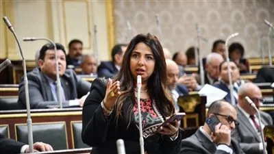 مجلس النواب يوافق على التعديلات المقدمة من النائبة نشوى الشريف بشأن مشروع قانون تنظيم شؤون المهن الطبية.
