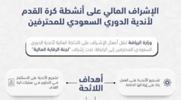 رابطة دوري المحترفين تتولى مسؤولية الإشراف المالي للأندية