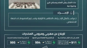 إحباط محاولة تهريب 15,000 قرص مخدر و5 كجم من الحشيش في الربوعة