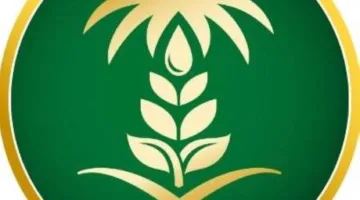 بيئة خليص: ضبط ثلاث مشاريع دواجن غير مرخصة ومخالفة للتعليمات