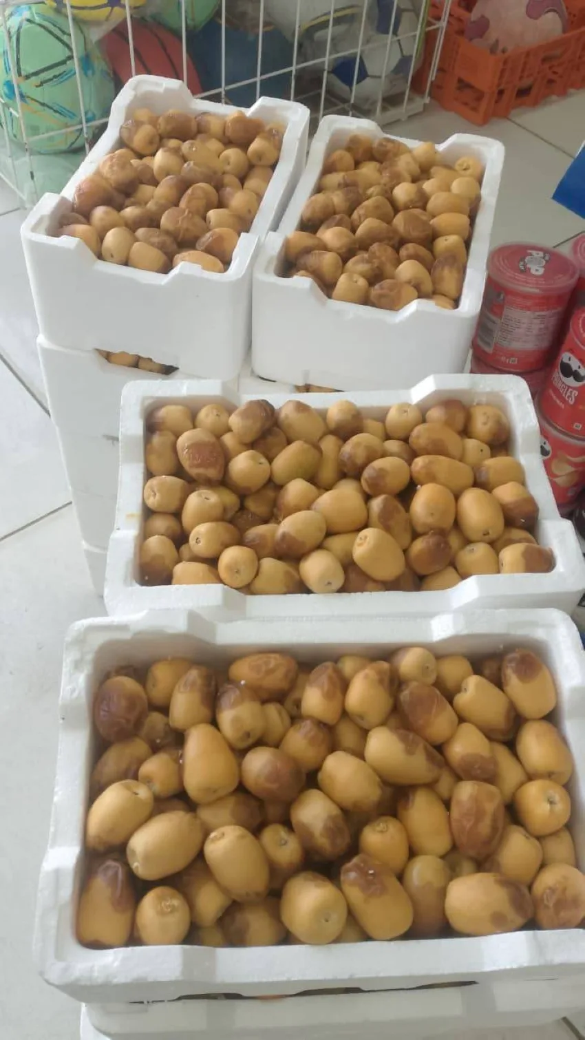 الرطب revitalizes date markets in valley provinces الرطب revitalizes date markets in valley provinces