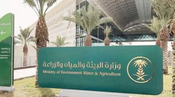 لأول مرة… استخدام تكنولوجيا إنترنت الأشياء في إدارة مزارع الماشية